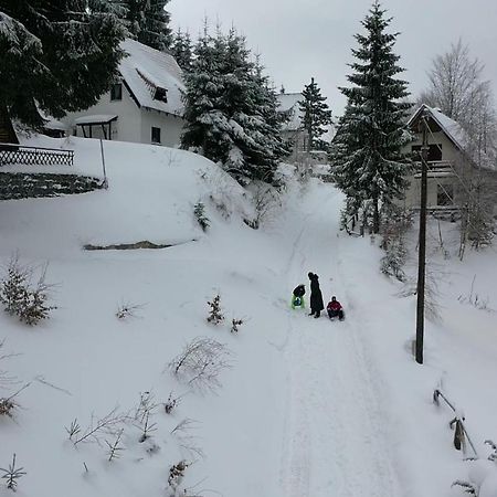 Vila Leni Kopaonik Esterno foto