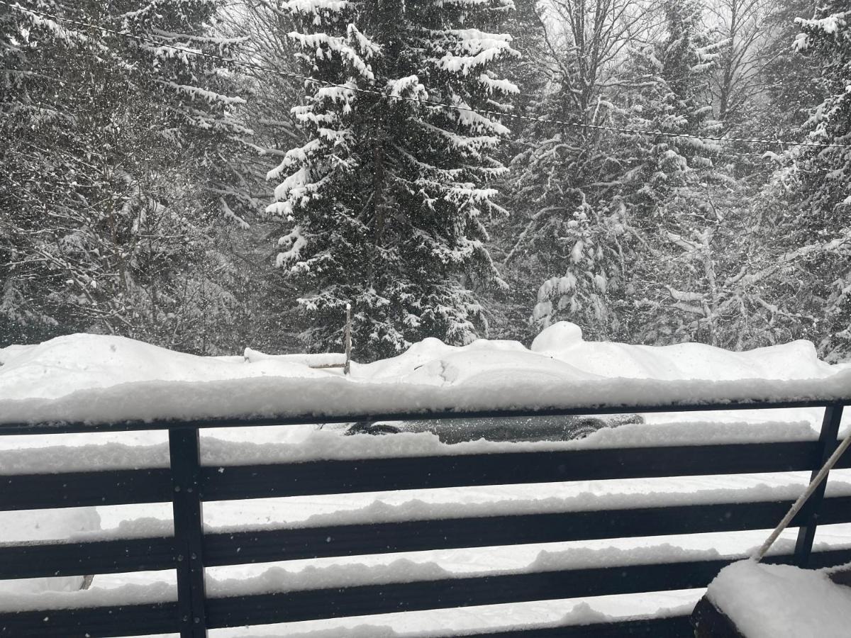 Vila Leni Kopaonik Esterno foto