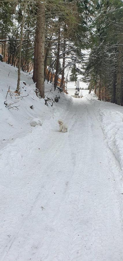 Vila Leni Kopaonik Esterno foto