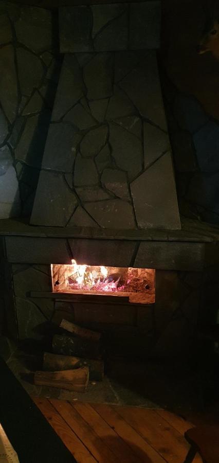 Vila Leni Kopaonik Esterno foto
